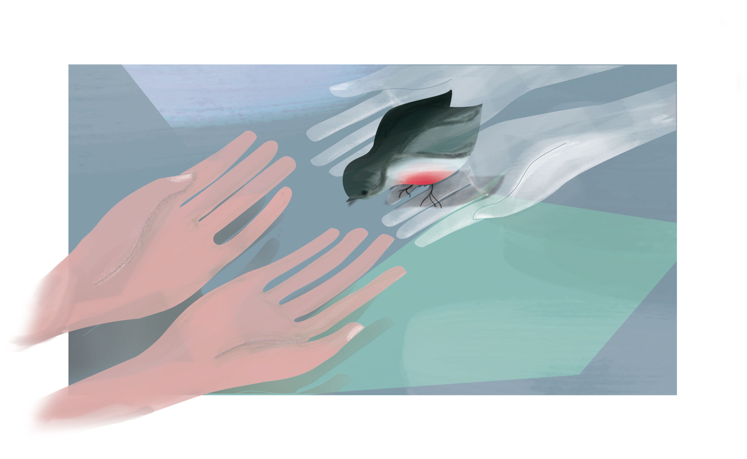 Il Dopo di Noi, illustrations for Corriere della Sera-img